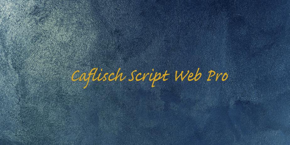 Fonte Caflisch Script Web Pro