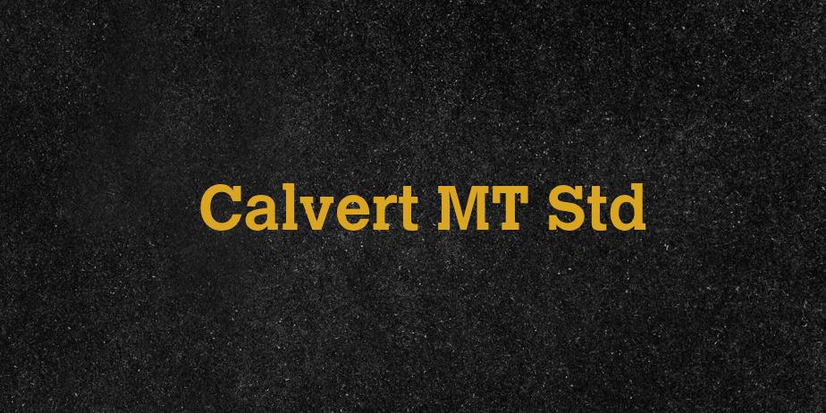 Fonte Calvert MT Std