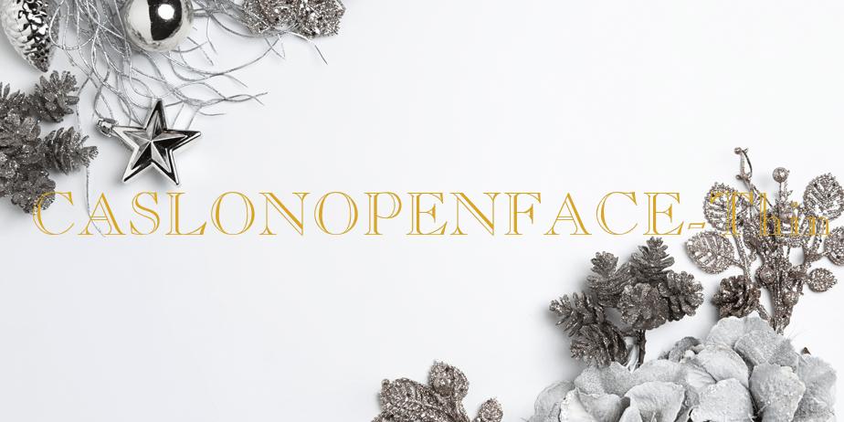 Fonte CASLONOPENFACE-Thin