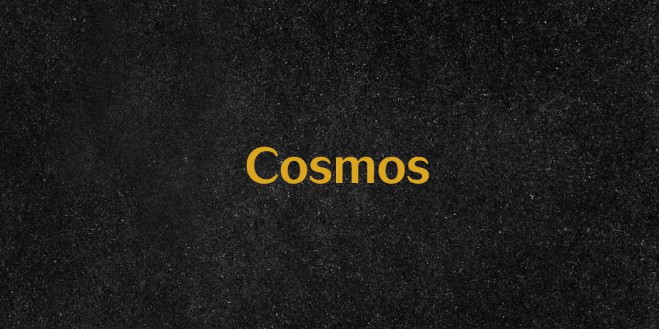 Fonte Cosmos