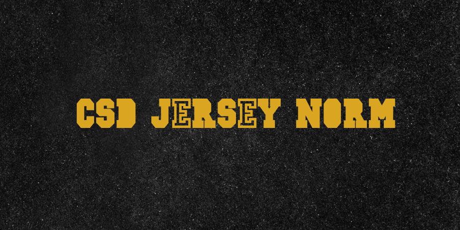 Fonte CSD-JERSEY-Norm