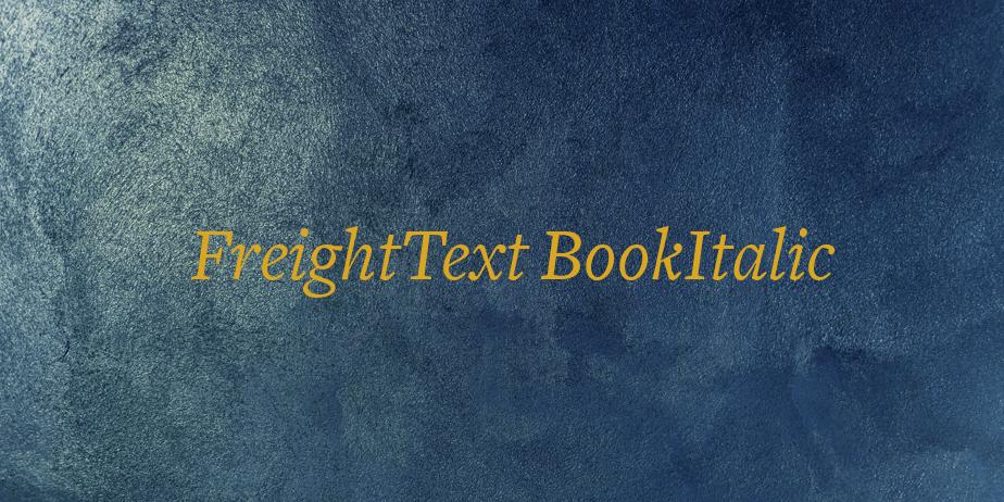 Fonte FreightText BookItalic