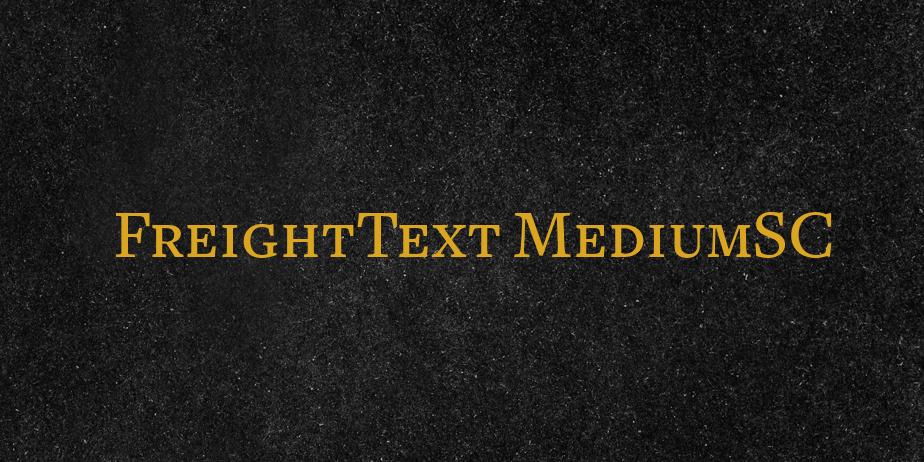 Fonte FreightText MediumSC