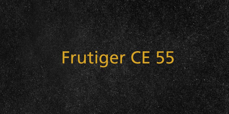 Fonte Frutiger CE 55