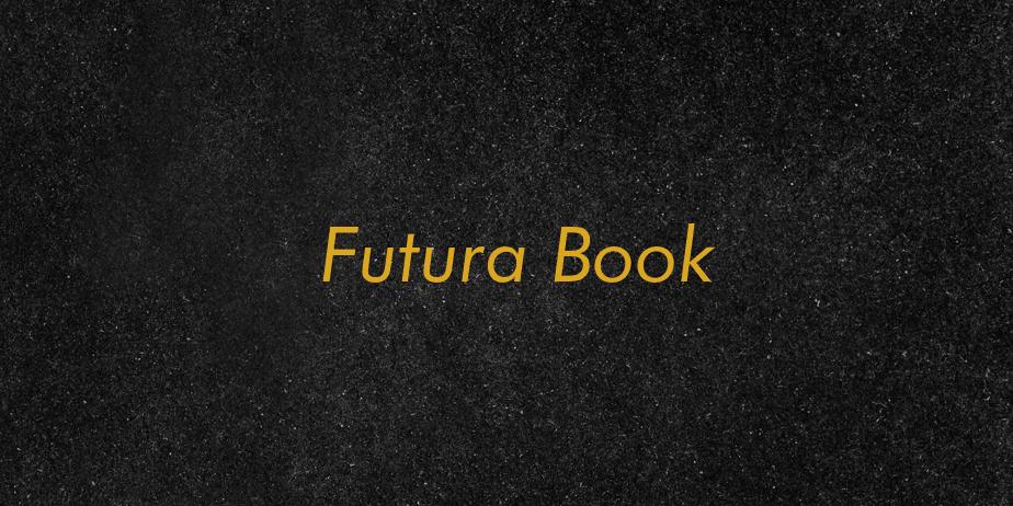 Fonte Futura Book