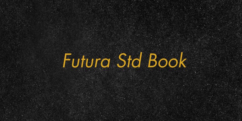 Fonte Futura Std Book