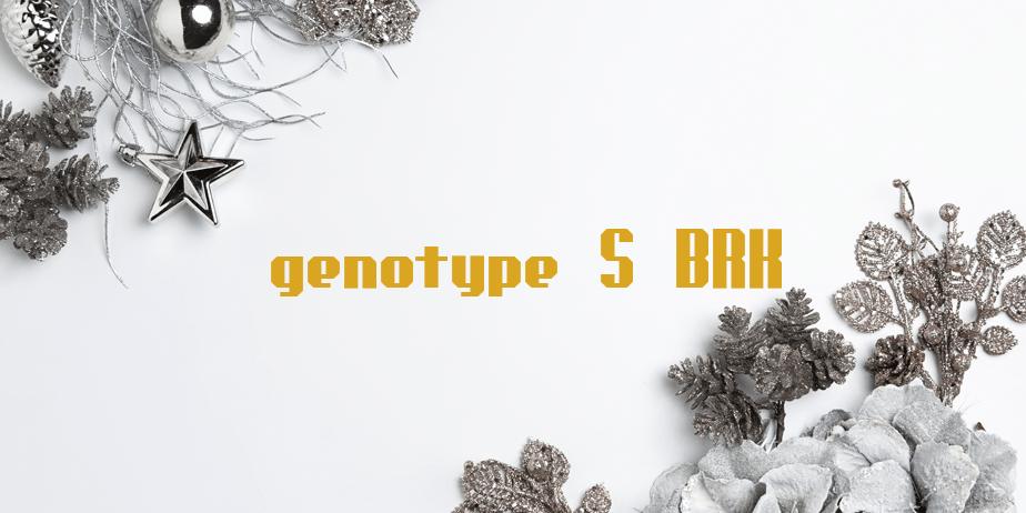 Fonte genotype S BRK