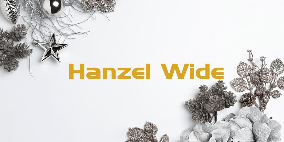 Fonte Hanzel Wide