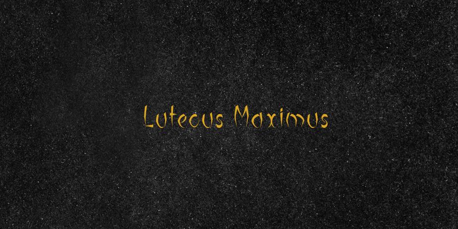 Fonte Luteous Maximus