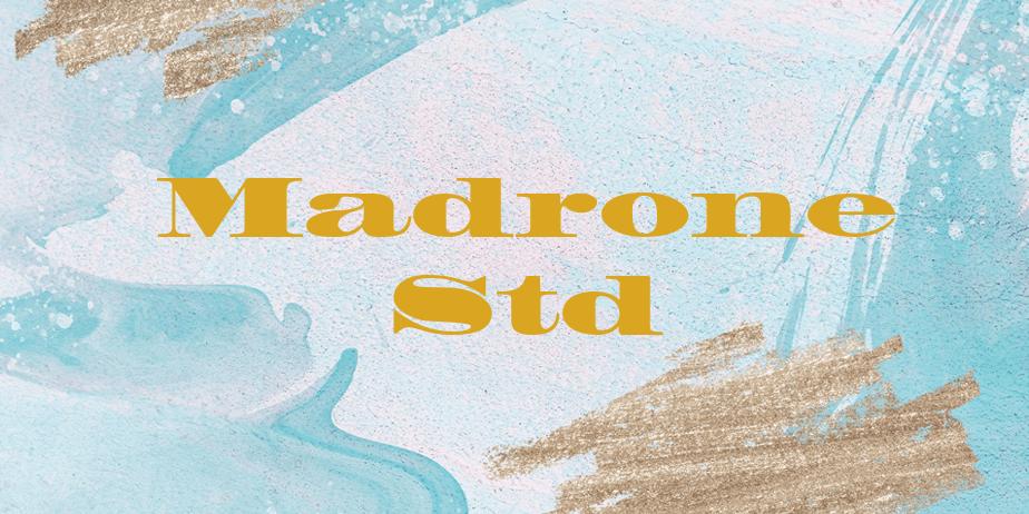 Fonte Madrone Std