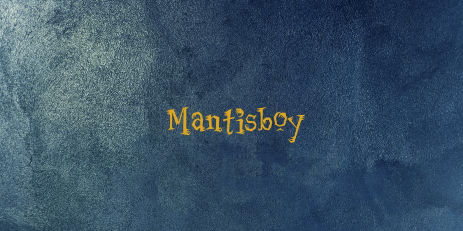 Fonte Mantisboy