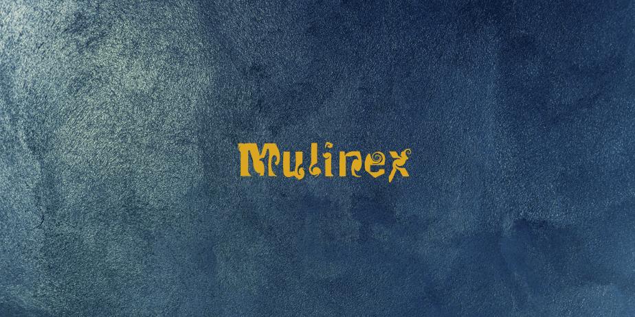 Fonte Mulinex