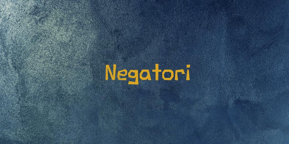 Fonte Negatori