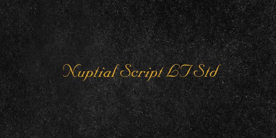 Fonte Nuptial Script LT Std