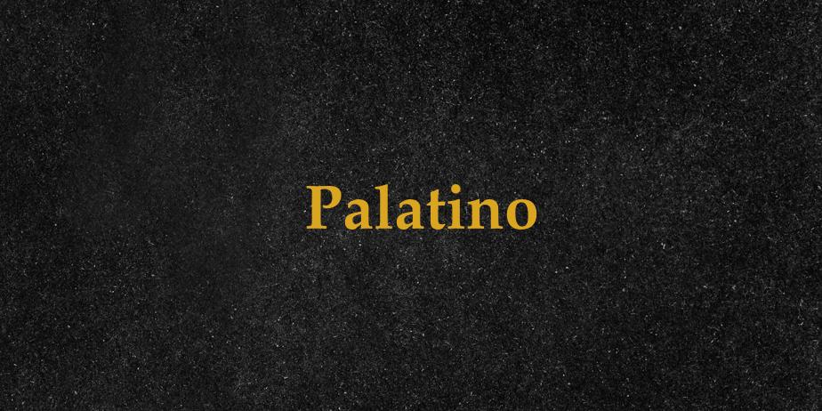 Fonte Palatino