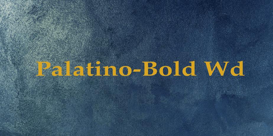 Fonte Palatino-Bold Wd