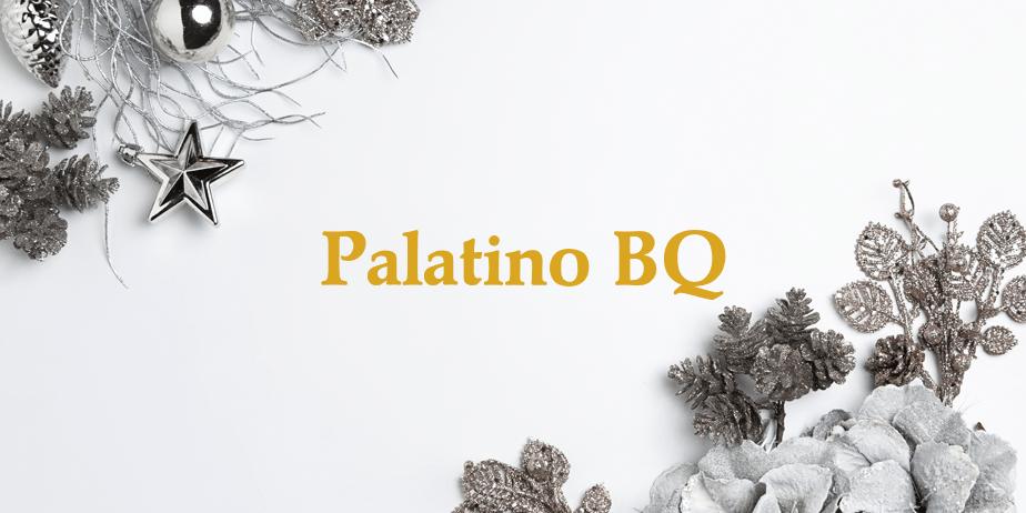 Fonte Palatino BQ