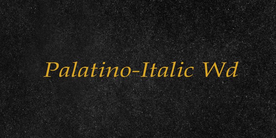 Fonte Palatino-Italic Wd