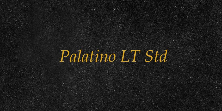 Fonte Palatino LT Std