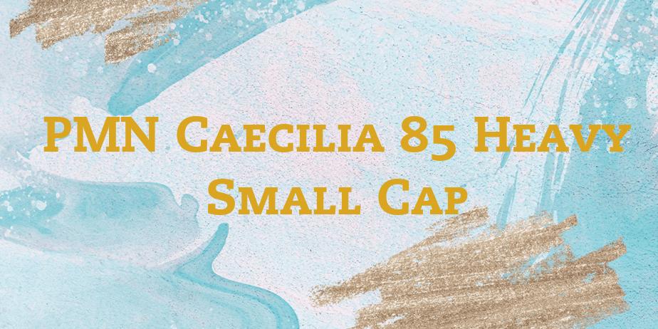 Fonte PMN Caecilia 85 Heavy Small Cap