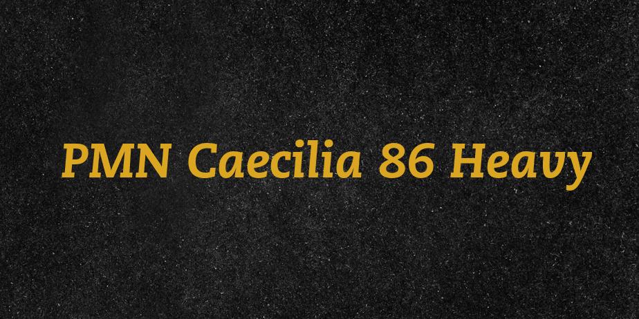 Fonte PMN Caecilia 86 Heavy