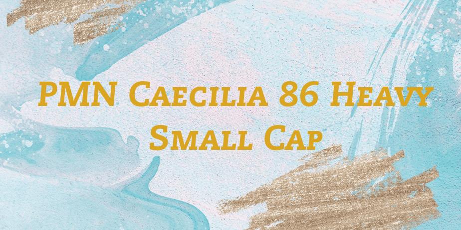 Fonte PMN Caecilia 86 Heavy Small Cap