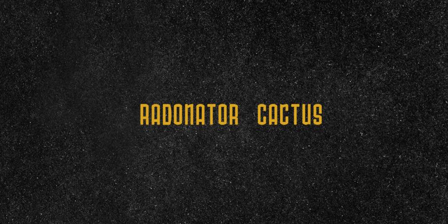 Fonte Radonator Cactus