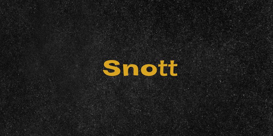 Fonte Snott