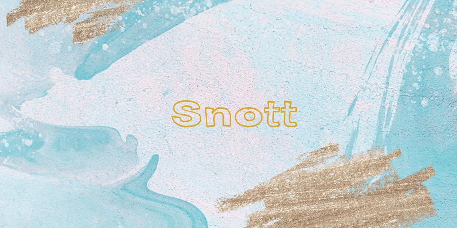 Fonte Snott