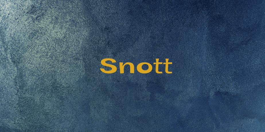 Fonte Snott