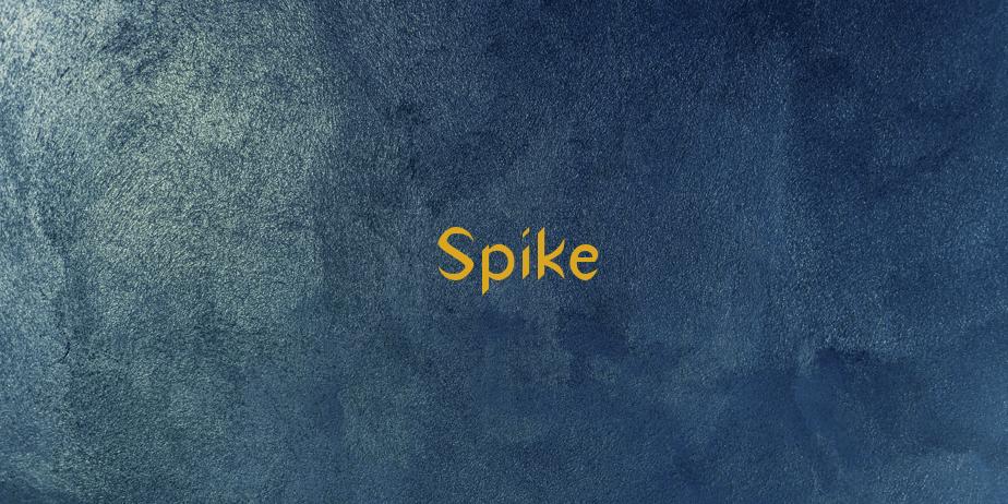 Fonte Spike