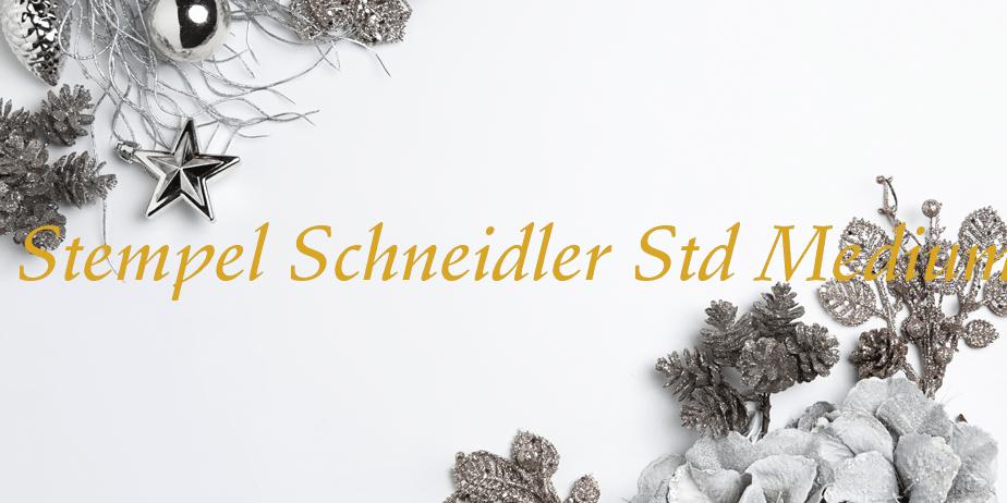 Fonte Stempel Schneidler Std Medium