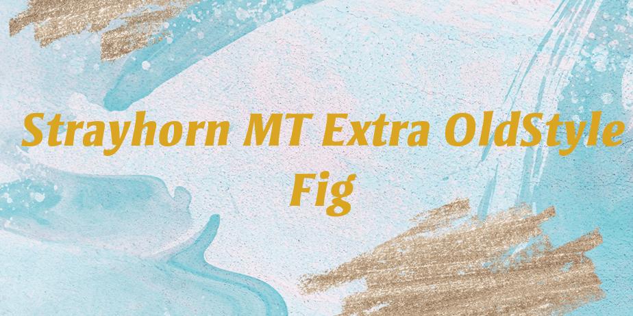 Fonte Strayhorn MT Extra OldStyle Fig