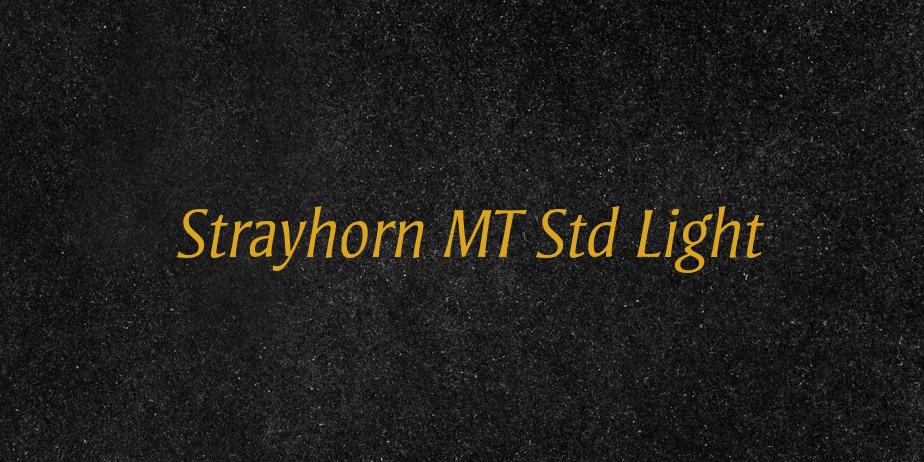 Fonte Strayhorn MT Std Light