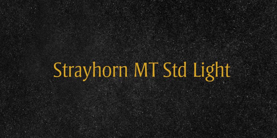 Fonte Strayhorn MT Std Light