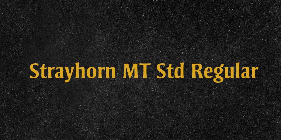 Fonte Strayhorn MT Std Regular