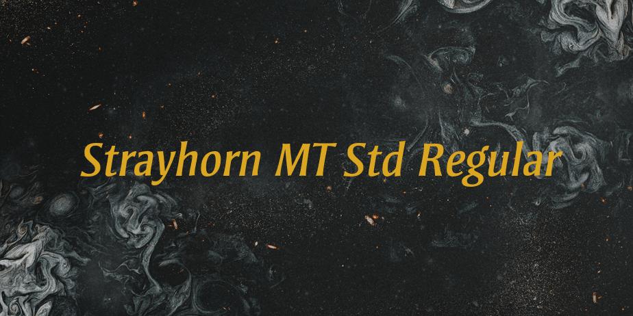 Fonte Strayhorn MT Std Regular