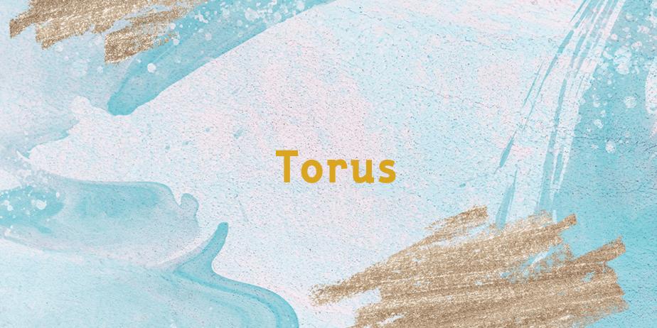 Fonte Torus