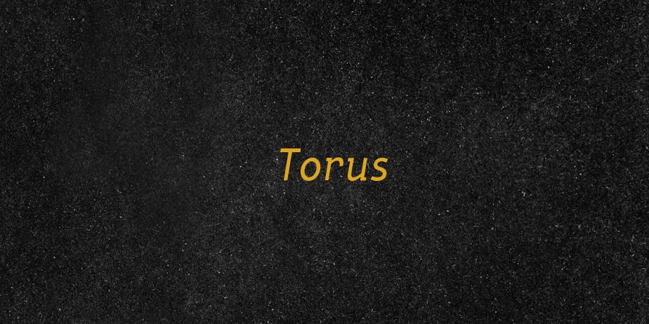 Fonte Torus