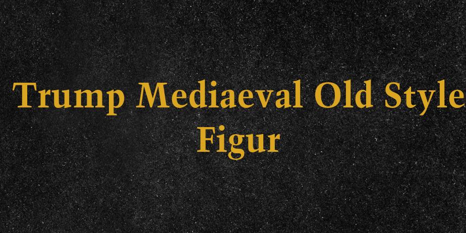 Fonte Trump Mediaeval Old Style Figur