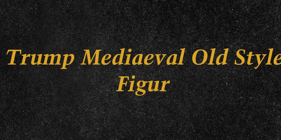 Fonte Trump Mediaeval Old Style Figur