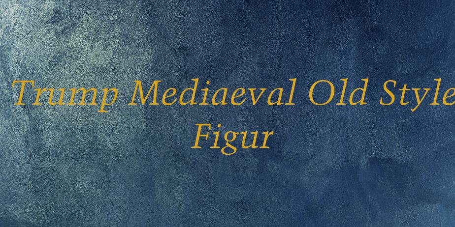 Fonte Trump Mediaeval Old Style Figur