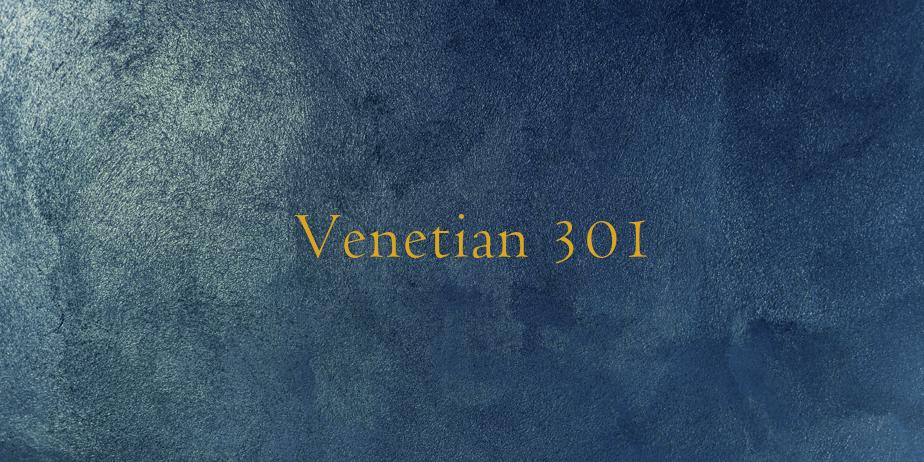 Fonte Venetian 301