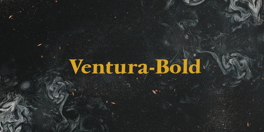 Fonte Ventura-Bold