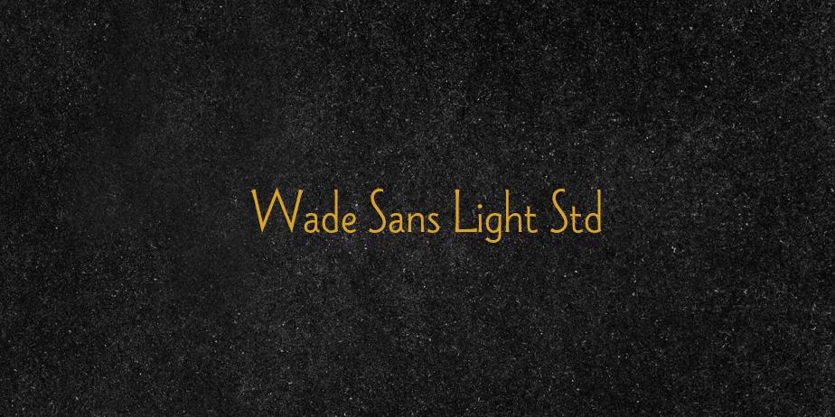 Fonte Wade Sans Light Std