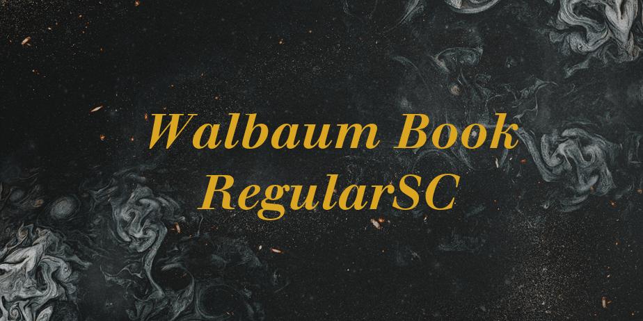 Fonte Walbaum Book RegularSC