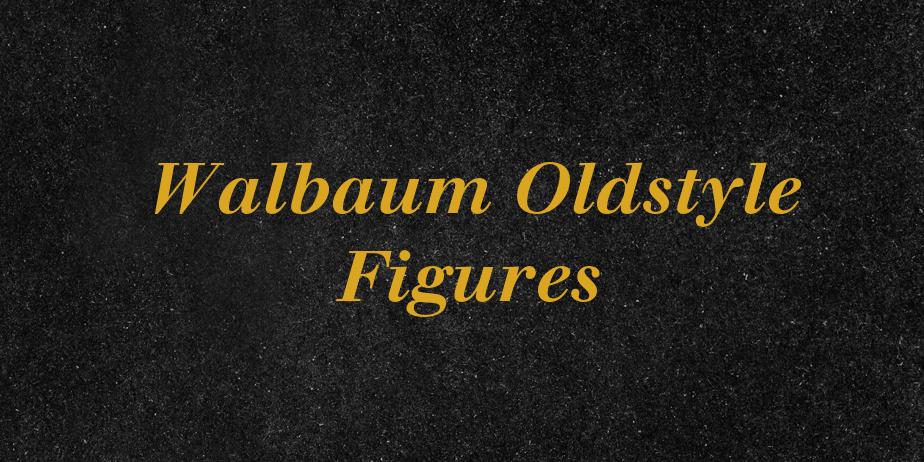 Fonte Walbaum Oldstyle Figures