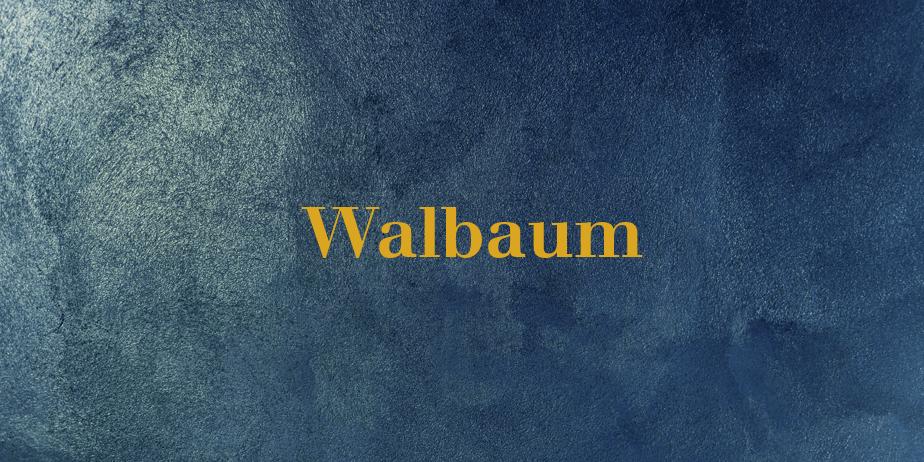 Fonte Walbaum