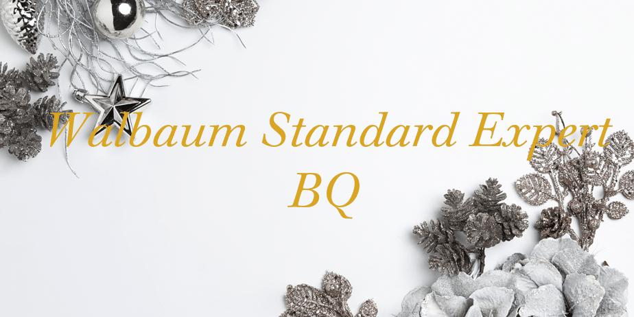 Fonte Walbaum Standard Expert BQ