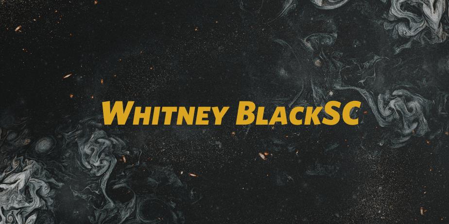 Fonte Whitney BlackSC